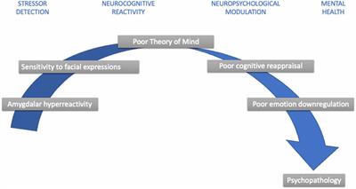 Integrative Brain Dynamics in Childhood Bullying Victimization: Cognitive and Emotional Convergence Associated With Stress Psychopathology
